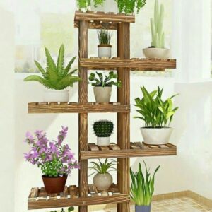 Kệ trưng bày trái cây TC070